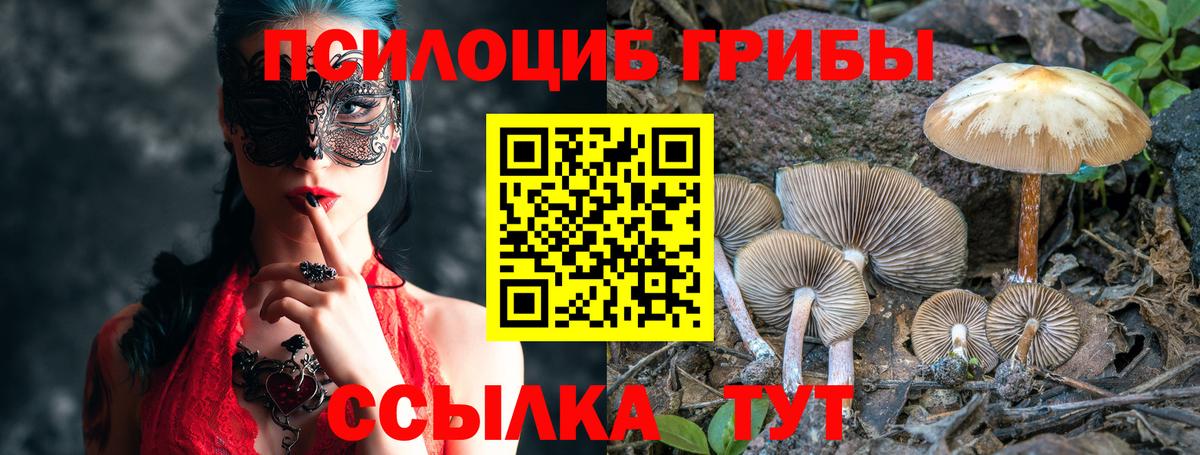 Галлюциногенные грибы MAGIC MUSHROOMS  Вход с VPN  Зерноград  Псилоцибиновые грибы Magic Shrooms 